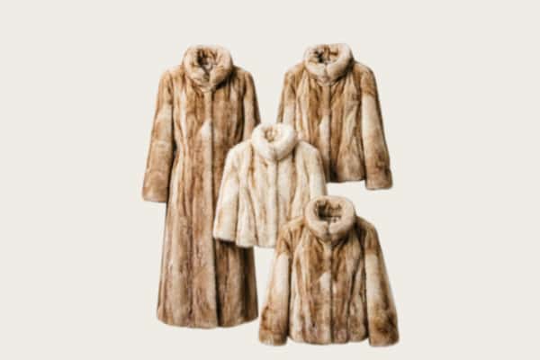 定陶区回收皮草衣服